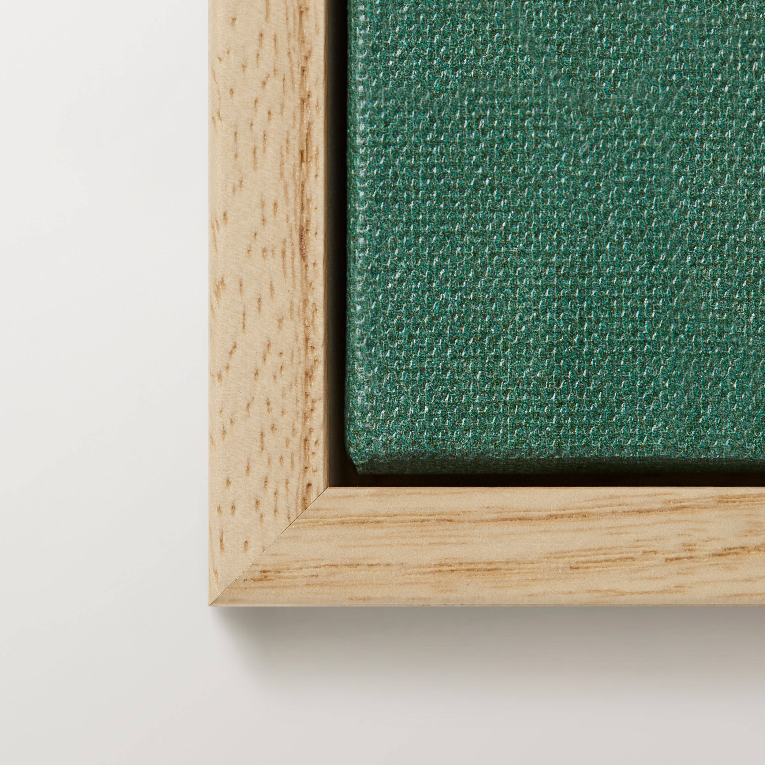 Ash Canvas - Image 2