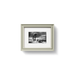 French Gray [Prof. 01]