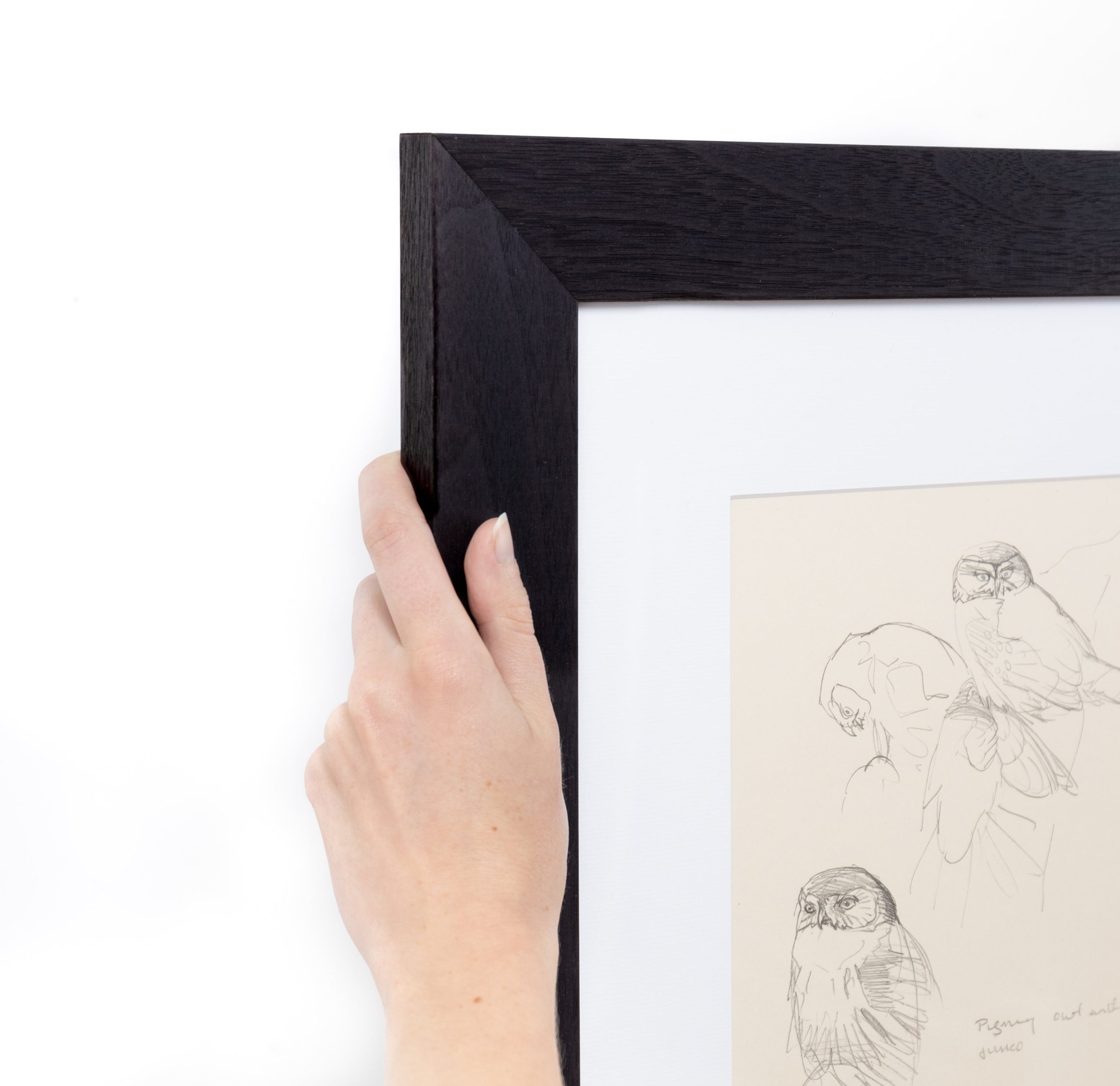 Black Walnut Wide - Image 2